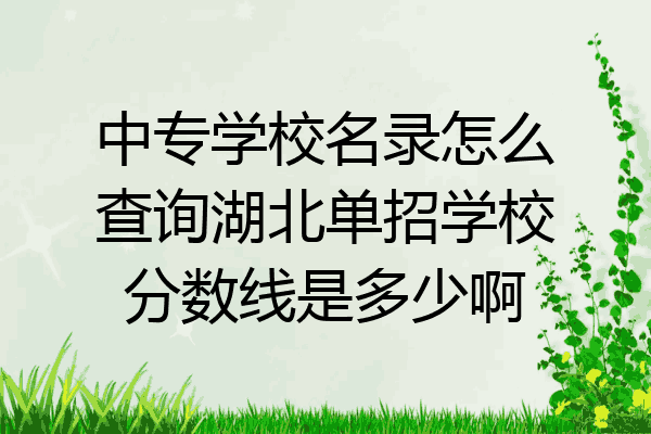 中专学校名录怎么查询湖北单招学校分数线是多少啊