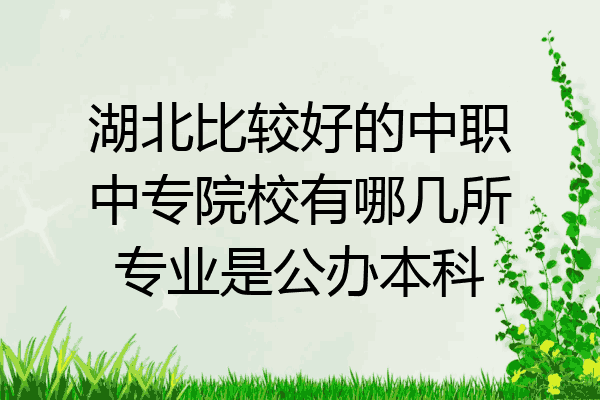 湖北比较好的中职中专院校有哪几所专业是公办本科