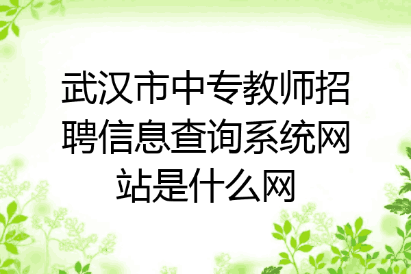武汉市中专教师招聘信息查询系统网站是什么网