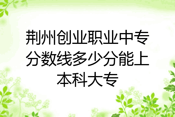 荆州创业职业中专分数线多少分能上本科大专