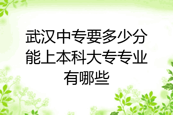 武汉中专要多少分能上本科大专专业有哪些