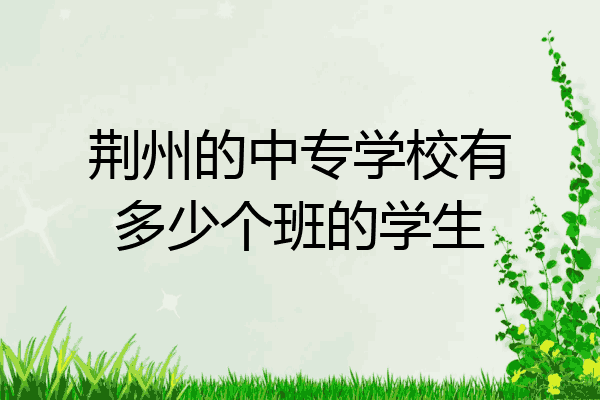 荆州的中专学校有多少个班的学生