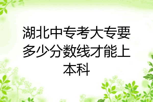 湖北中专考大专要多少分数线才能上本科