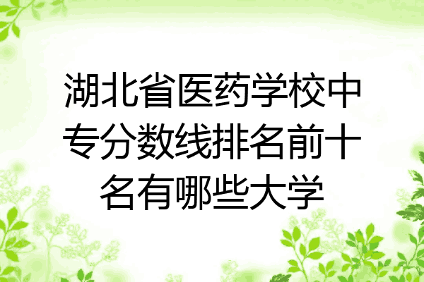 湖北省医药学校中专分数线排名前十名有哪些大学