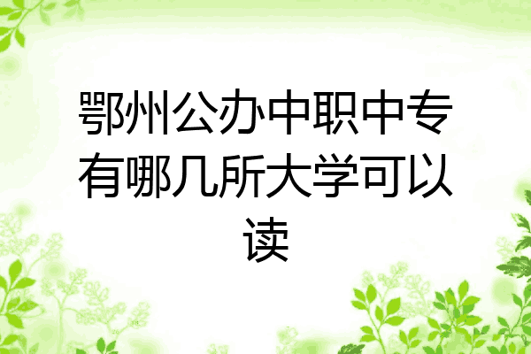 鄂州公办中职中专有哪几所大学可以读