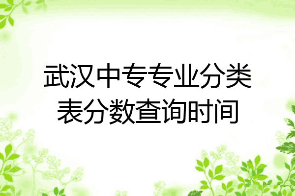 武汉中专专业分类表分数查询时间