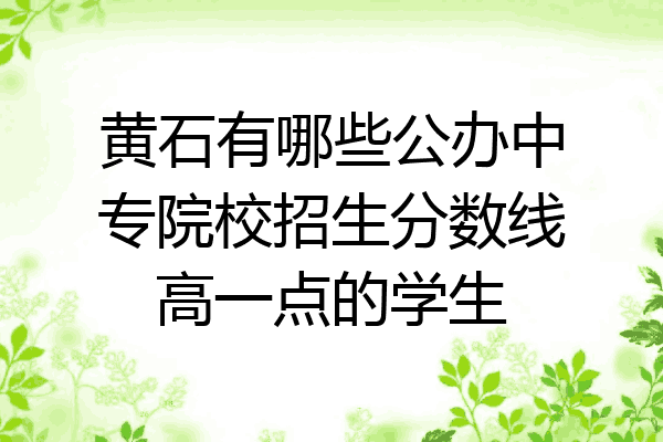 黄石有哪些公办中专院校招生分数线高一点的学生
