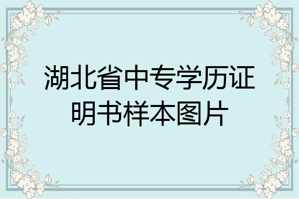 湖北省中专学历证明书样本图片
