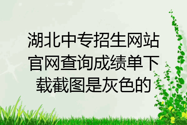 湖北中专招生网站官网查询成绩单下载截图是灰色的