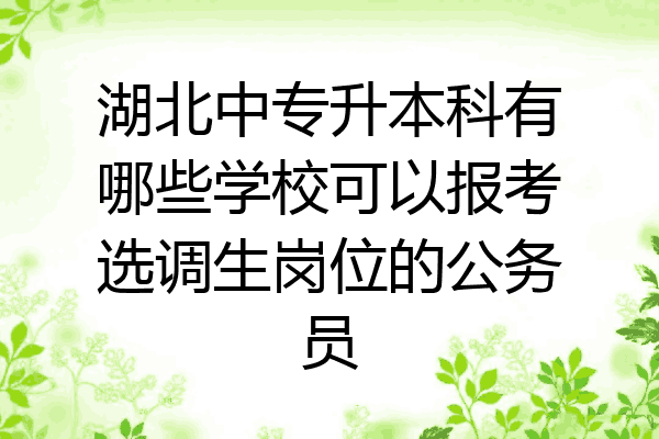 湖北中专升本科有哪些学校可以报考选调生岗位的公务员
