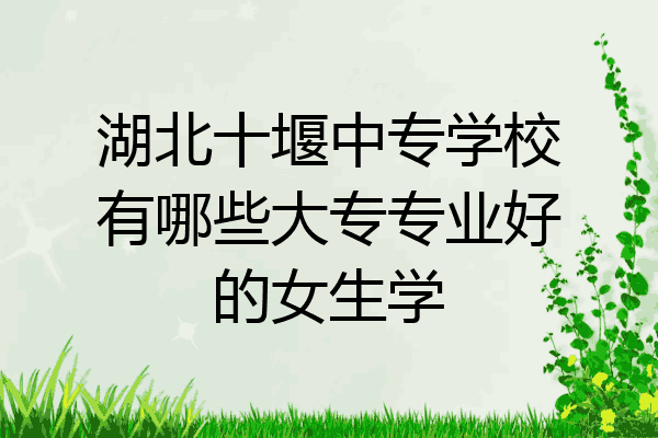 湖北十堰中专学校有哪些大专专业好的女生学