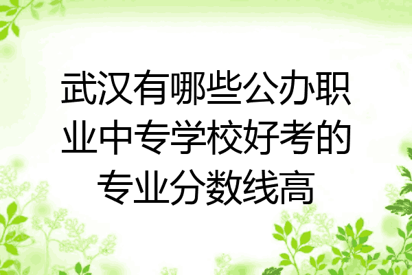 武汉有哪些公办职业中专学校好考的专业分数线高