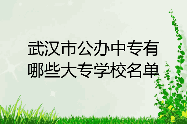 武汉市公办中专有哪些大专学校名单