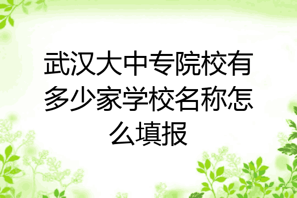 武汉大中专院校有多少家学校名称怎么填报