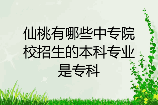 仙桃有哪些中专院校招生的本科专业是专科