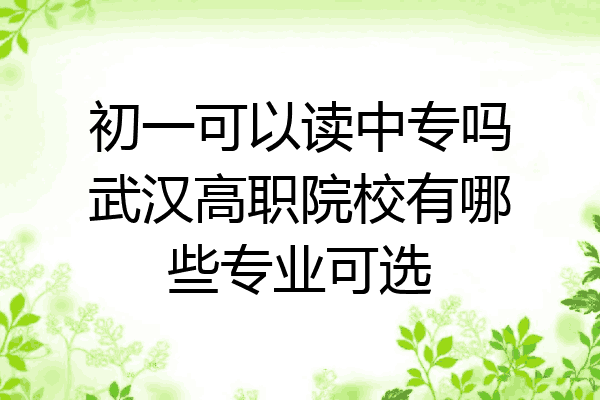 初一可以读中专吗武汉高职院校有哪些专业可选