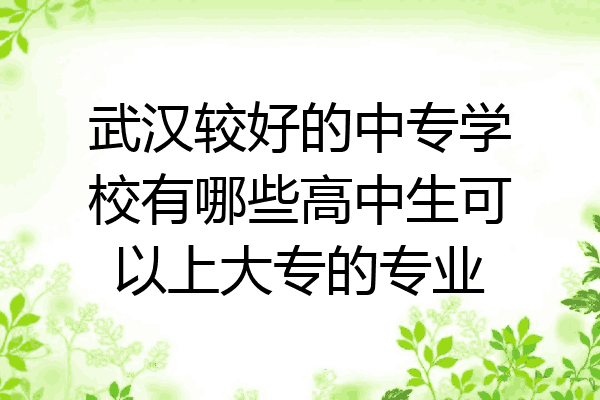 武汉较好的中专学校有哪些高中生可以上大专的专业
