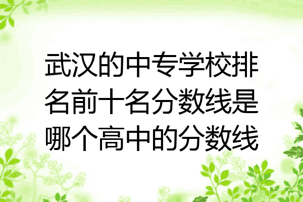 武汉的中专学校排名前十名分数线是哪个高中的分数线