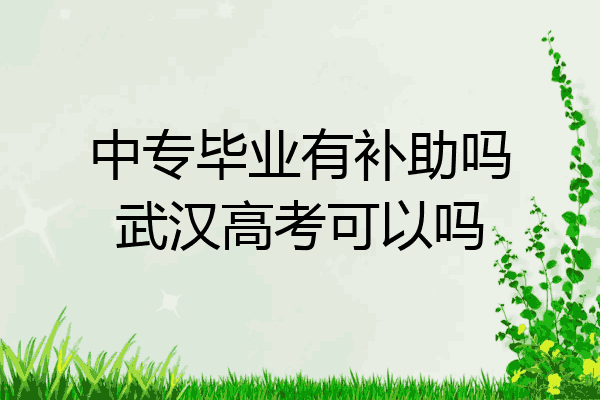 中专毕业有补助吗武汉高考可以吗