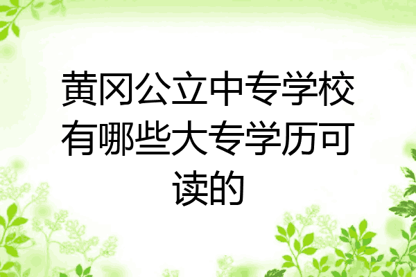 黄冈公立中专学校有哪些大专学历可读的