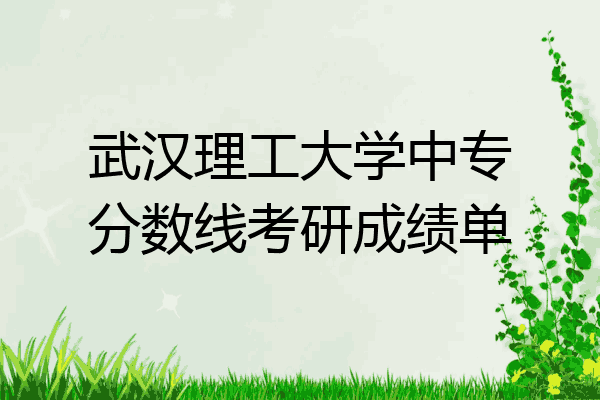武汉理工大学中专分数线考研成绩单