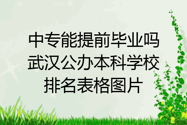 中专能提前毕业吗武汉公办本科学校排名表格图片