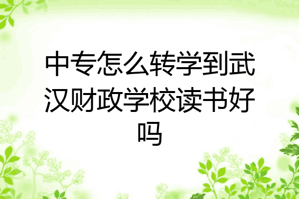 中专怎么转学到武汉财政学校读书好吗