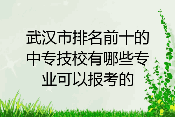 武汉市排名前十的中专技校有哪些专业可以报考的