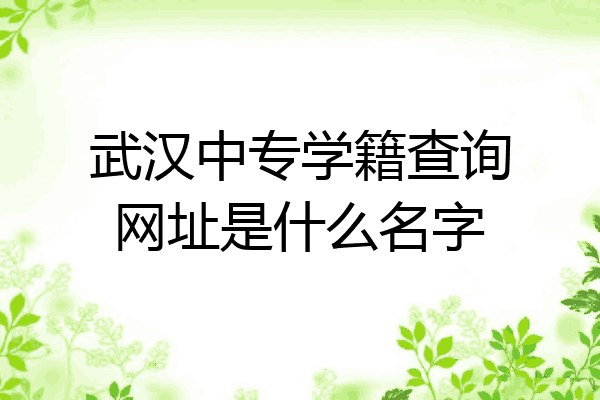 武汉中专学籍查询网址是什么名字