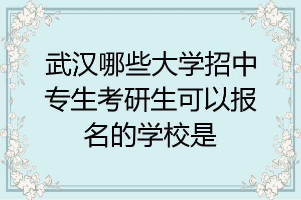 武汉哪些大学招中专生考研生可以报名的学校是