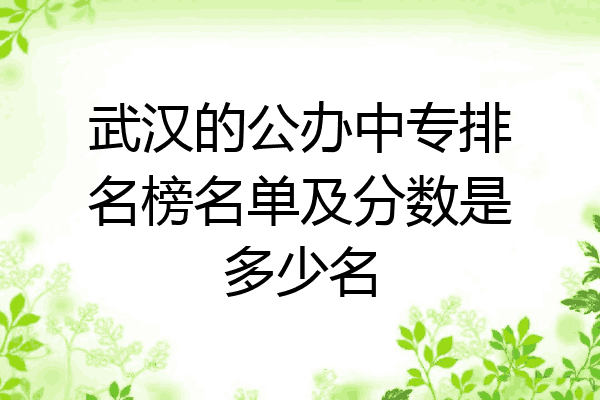武汉的公办中专排名榜名单及分数是多少名