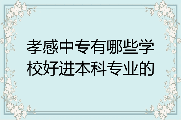 孝感中专有哪些学校好进本科专业的