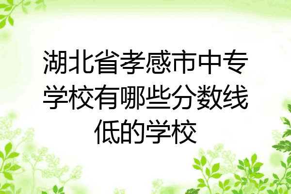 湖北省孝感市中专学校有哪些分数线低的学校