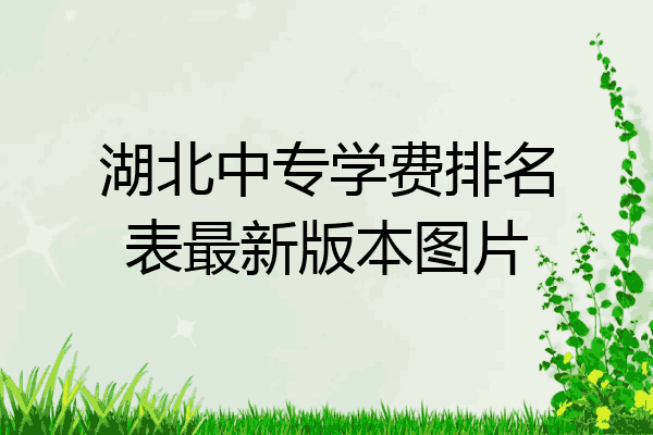 湖北中专学费排名表最新版本图片