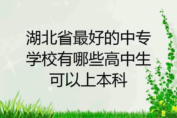 湖北省最好的中专学校有哪些高中生可以上本科