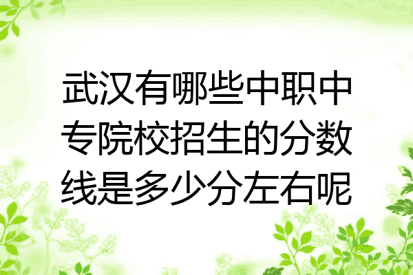 武汉有哪些中职中专院校招生的分数线是多少分左右呢