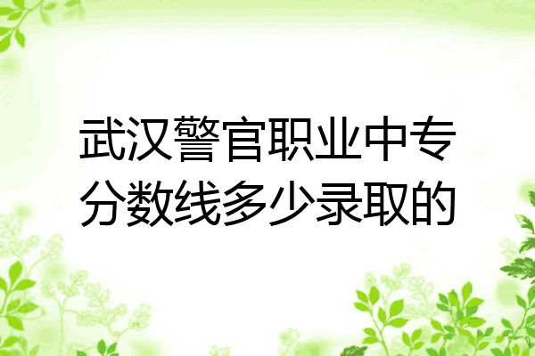 武汉警官职业中专分数线多少录取的