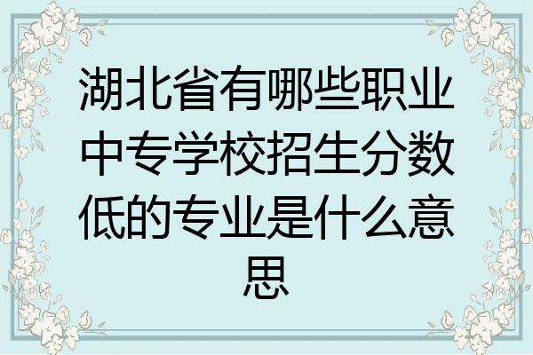 湖北省有哪些职业中专学校招生分数低的专业是什么意思