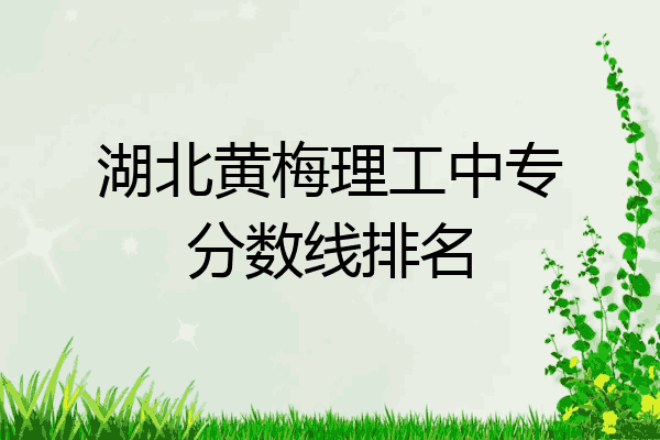 湖北黄梅理工中专分数线排名