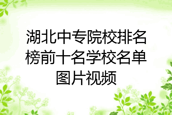 湖北中专院校排名榜前十名学校名单图片视频