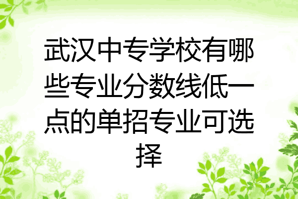 武汉中专学校有哪些专业分数线低一点的单招专业可选择