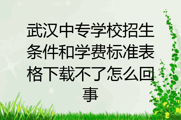 武汉中专学校招生条件和学费标准表格下载不了怎么回事
