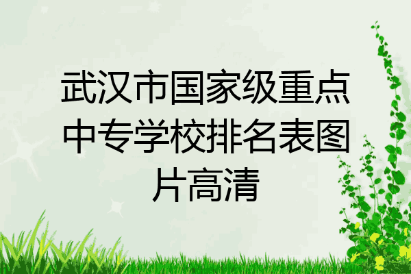 武汉市国家级重点中专学校排名表图片高清