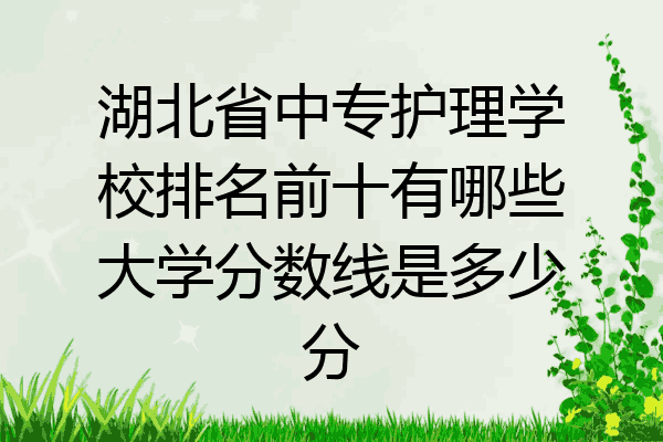 湖北省中专护理学校排名前十有哪些大学分数线是多少分