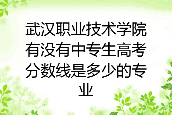 武汉职业技术学院有没有中专生高考分数线是多少的专业