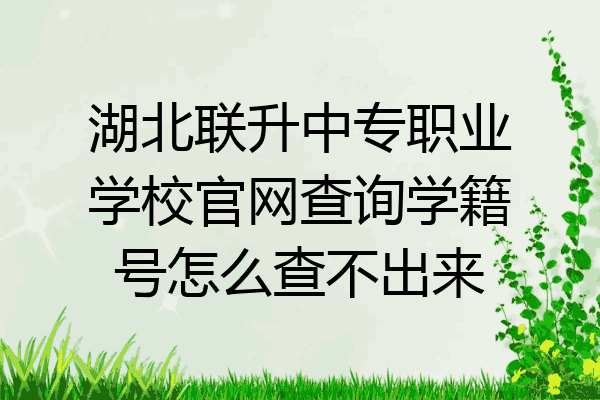湖北联升中专职业学校官网查询学籍号怎么查不出来