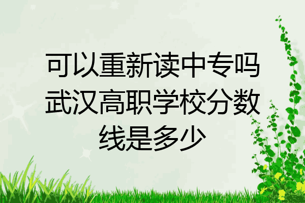 可以重新读中专吗武汉高职学校分数线是多少