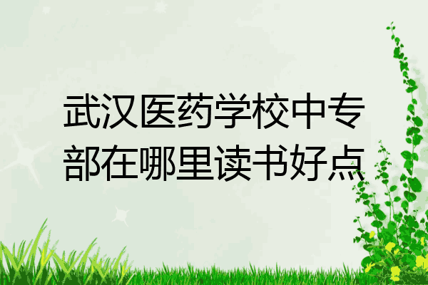 武汉医药学校中专部在哪里读书好点