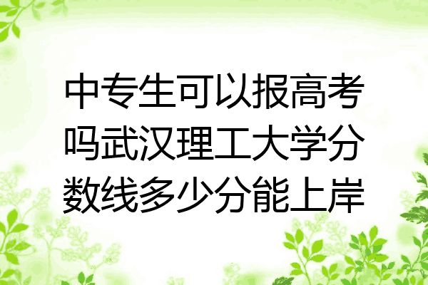 中专生可以报高考吗武汉理工大学分数线多少分能上岸