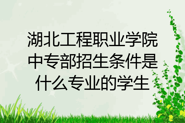 湖北工程职业学院中专部招生条件是什么专业的学生